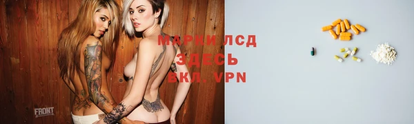 круглые Аркадак