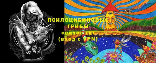 соль ск Арсеньев